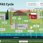 PFAS Cycle