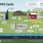 Pfas Cycle