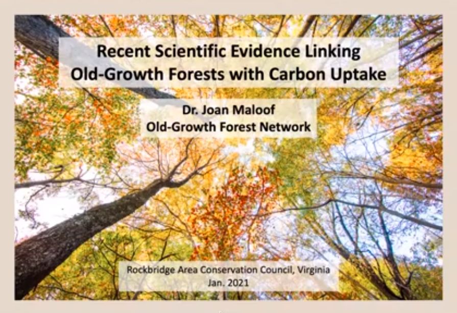 Recent Scientific Evidence Linking Old-growth Forests With Carbon Uptake